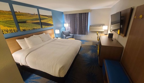 Room, 1 King Bed with Sofa bed, Non Smoking (Micro-Refrigerator)