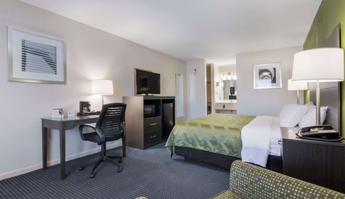 Standard Room, 1 King Bed, Non Smoking
