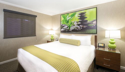 Suite, 1 King Bed