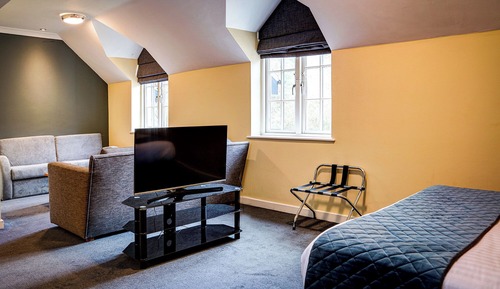 Standard Room, 1 King Bed with Sofa bed, Accessible