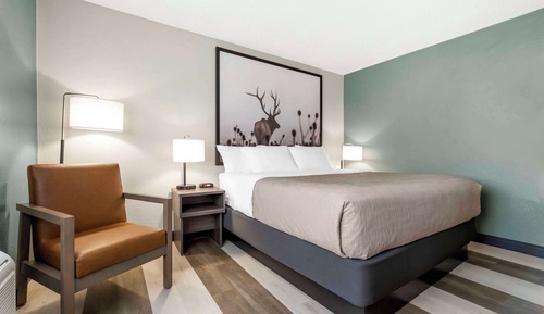 Room, 1 King Bed, Non Smoking