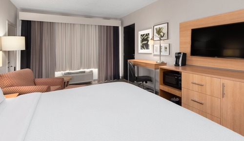 Standard Room, 1 King Bed, Roll-in Shower (Communications)