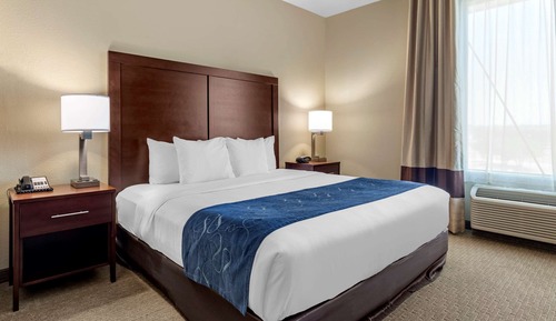 Suite, 1 King Bed with Sofa bed, Accessible, Non Smoking