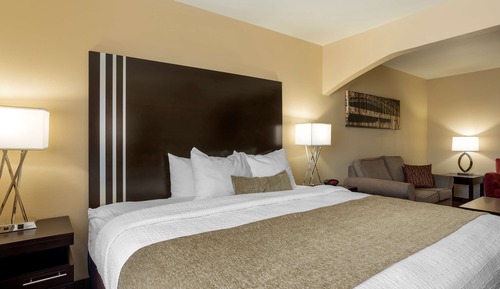Standard Room, 1 King Bed, Non Smoking, Refrigerator & Microwave