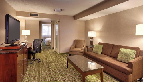 Suite, 1 King Bed with Sofa bed