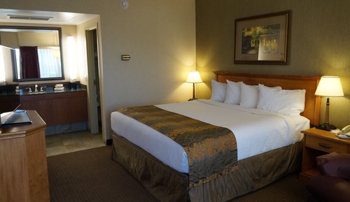 Standard Room, 1 King Bed, Non Smoking