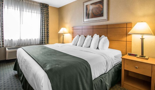 Room, 1 King Bed, Non Smoking