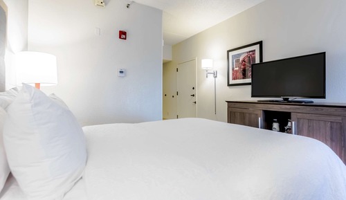 Room, Queen Accessible Roll In Shower, Non Smoking