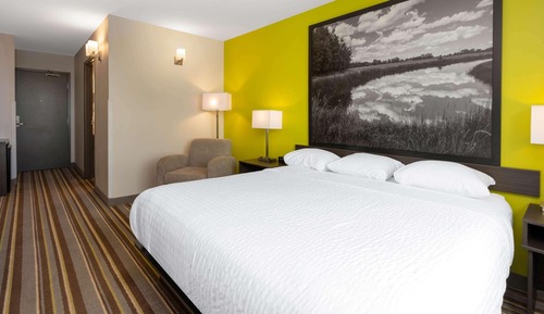 Room, 1 King Bed, Accessible, Non Smoking