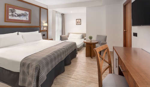 Basic Triple Room