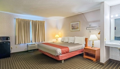 Deluxe Room, 1 King Bed, Non Smoking, Refrigerator & Microwave