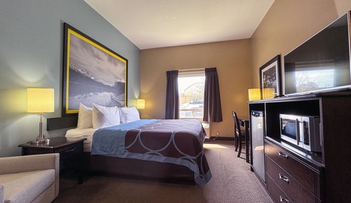 Room, 1 King Bed, Accessible, Non Smoking