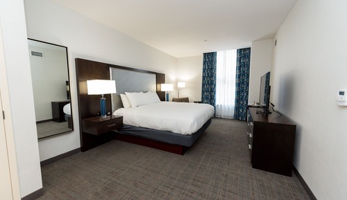 Room, 1 King Bed (3x3 Shower)