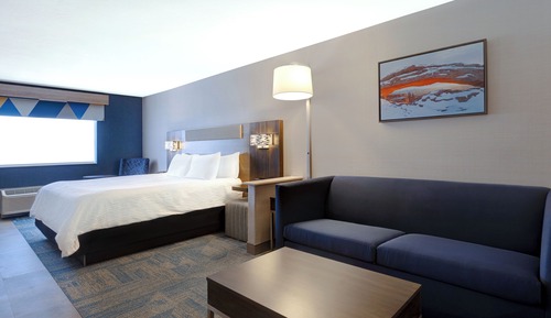 Suite, 1 King Bed with Sofa bed
