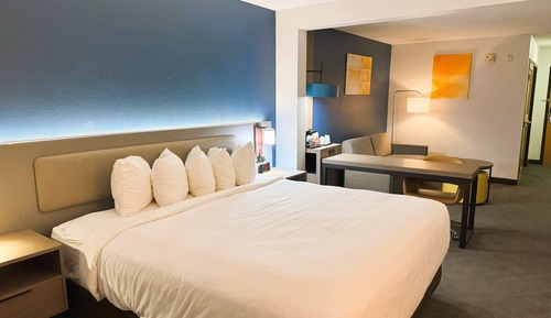 Suite, 1 King Bed with Sofa bed, Non Smoking