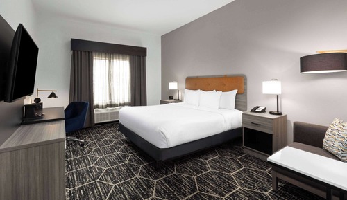 Room, 1 King Bed, Mobility Accessible, Non Smoking (Bathtub W/grab Bars)