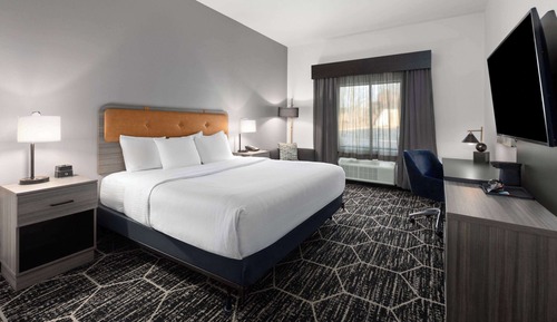 Room, 1 King Bed, Mobility Accessible, Non Smoking (Roll-in Shower)