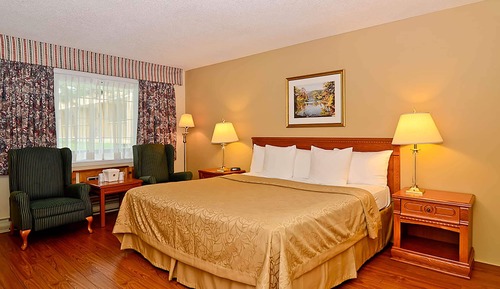 Room, 1 King Bed, Non Smoking (Courtyard View)