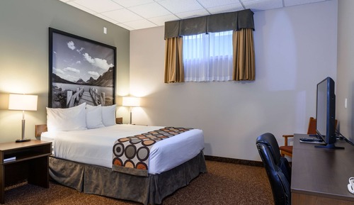 Room, 1 Queen Bed, Non Smoking (Basement, no AC, fan only)