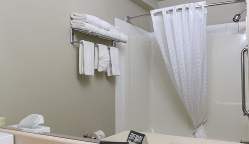 Room, Multiple Beds, Non Smoking (Basement)