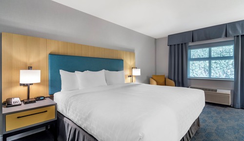 Room, 1 King Bed, Accessible, Non Smoking