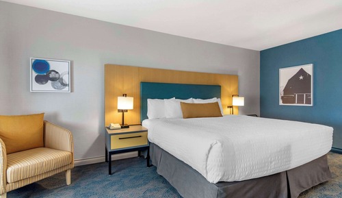 Business Room, 1 King Bed, Non Smoking