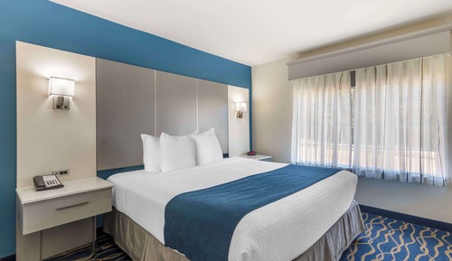 Suite, 1 King Bed, Non Smoking, Refrigerator & Microwave (Pet Friendly)