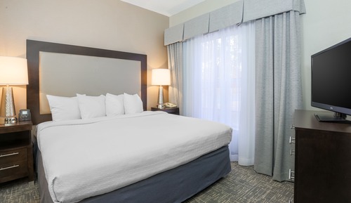Deluxe Suite, 1 Bedroom, Non Smoking