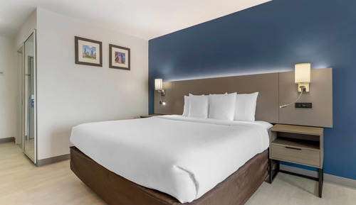 Standard Room, 1 King Bed, Non Smoking