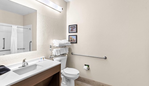 Suite, 1 King Bed with Sofa bed, Accessible, Non Smoking