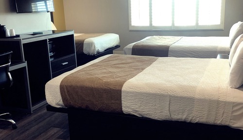 Room, Multiple Beds