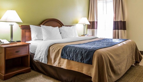 Room, 1 King Bed, Non Smoking, Jetted Tub