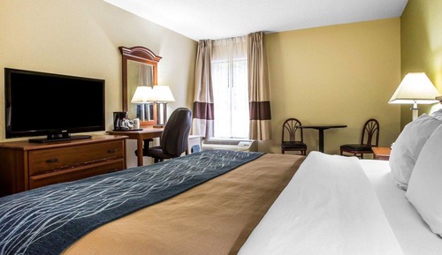 Standard Room, 1 King Bed, Non Smoking