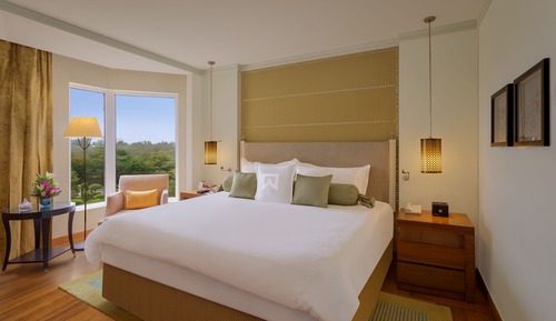 Deluxe Suite/Tower Suite