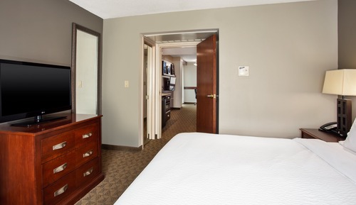 Suite, 1 King Bed with Sofa bed
