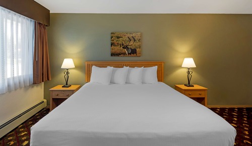 Standard Room, 1 King Bed, Accessible, Bathtub