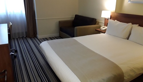 Standard Room, 1 King Bed with Sofa bed