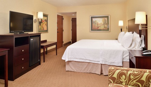 Room, 1 King Bed, Accessible (Hearing)