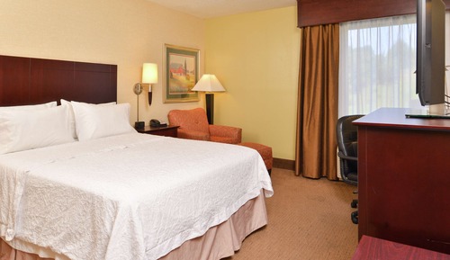 Room, 1 King Bed, Accessible, Bathtub (Mobility & Hearing)