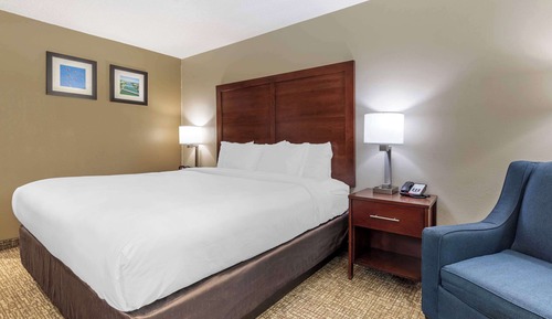 Standard Room, 1 King Bed, Non Smoking