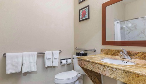 Room, 1 King Bed, Accessible, Non Smoking (Roll-In Shower)