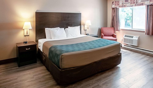 Standard Room, 1 King Bed, Non Smoking