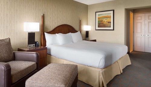 Standard Room, 1 King Bed, Non Smoking
