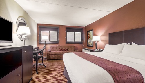 Standard Room, 1 King Bed (Atrium View)