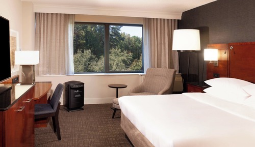 Room, 1 King Bed (Mobility Accessible, Tub)