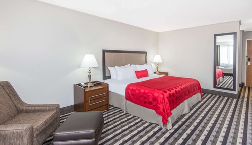Room, 1 King Bed, Accessible