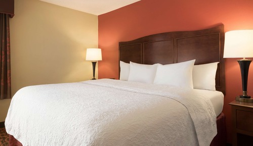 Room, 1 King Bed, Accessible, Non Smoking