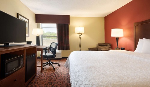 Room, 1 King Bed