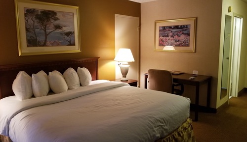Room, 1 King Bed, Non Smoking