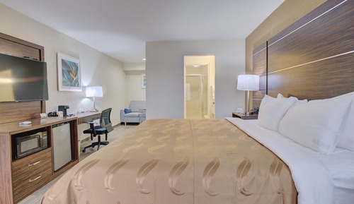 Standard Room, 1 King Bed, Non Smoking